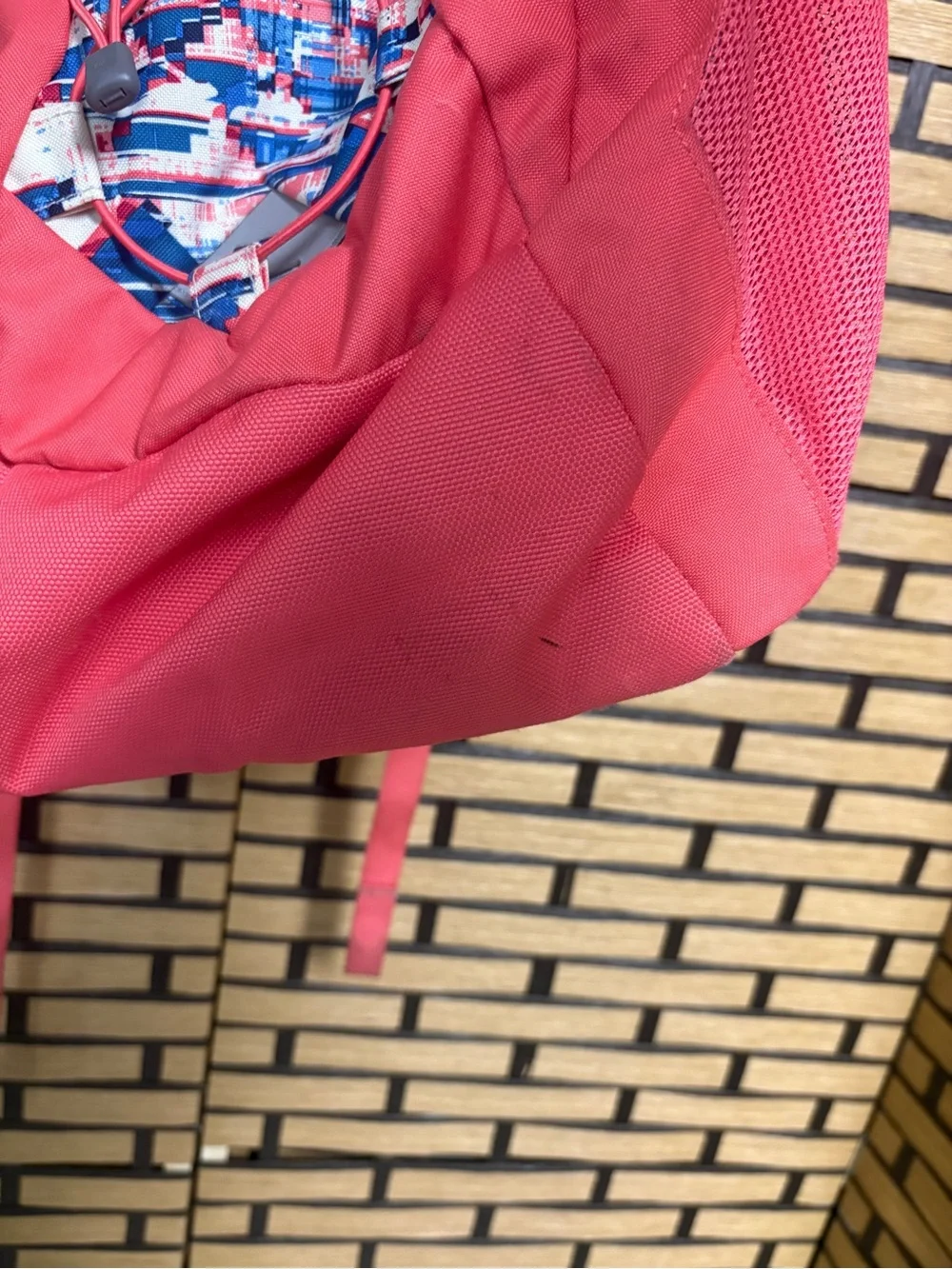 The North Face Coral And Blue Jester Backpack